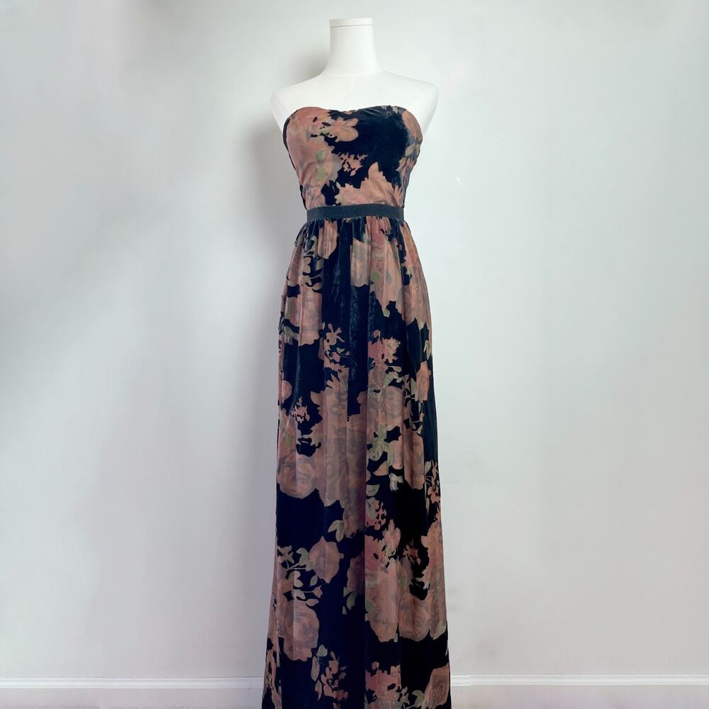 Erin Fetherston Velvet Burnout Gown Dress Sz 0 Floral Fairy Prom Ethereal